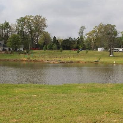 Park grounds and landscaping