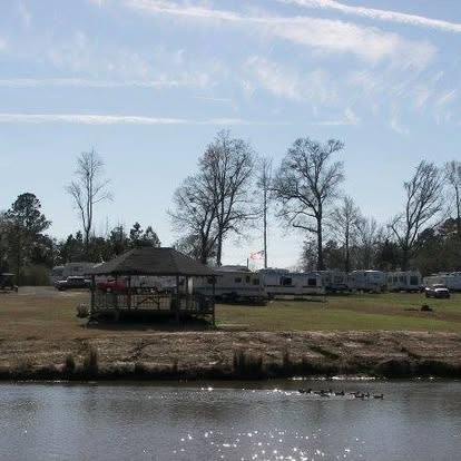 Park landscape at Mullins RV Park